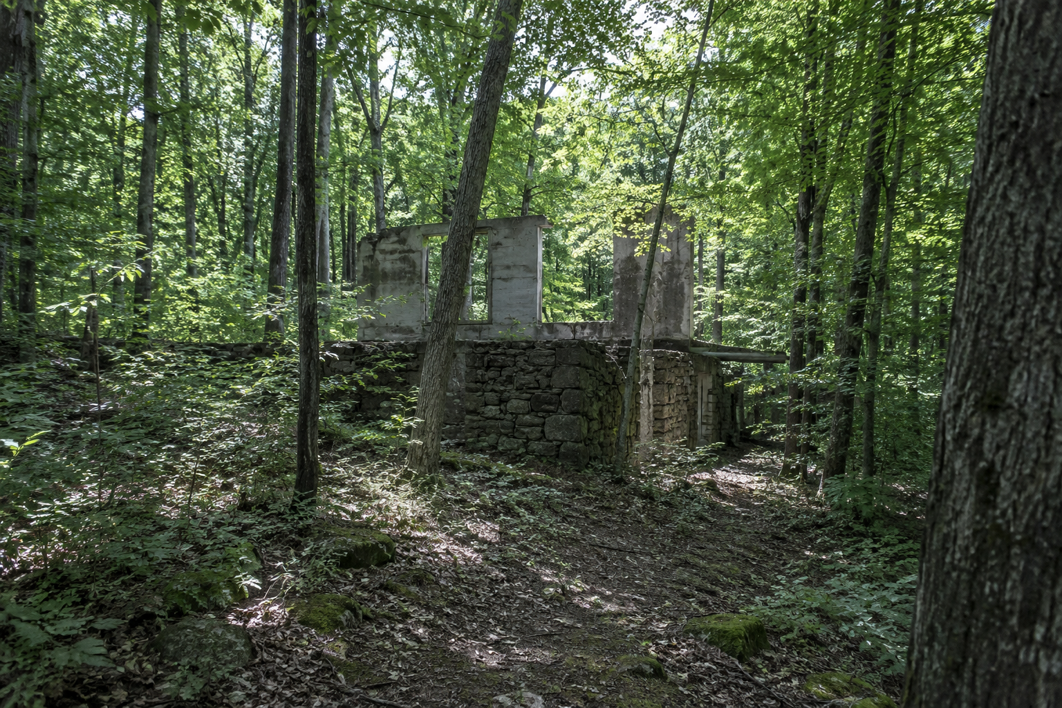 Stone ruins of a house foundation swallowed by the woods